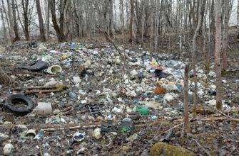 В смоленском поселке Одинцово нарастают мусорные горы