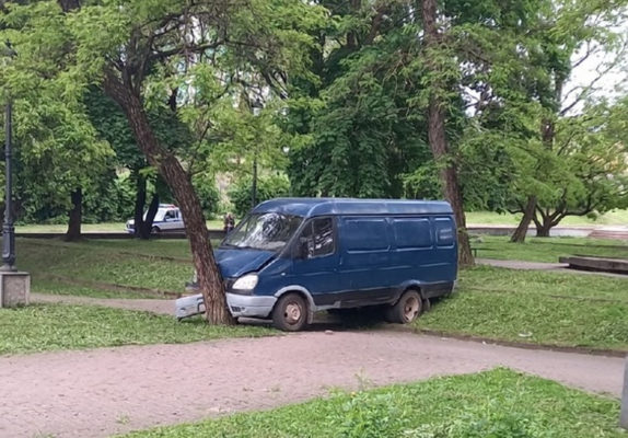 Газель в дерево