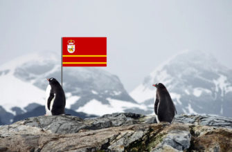 флаг смоленска, пингвины