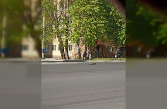 Кирова, отрытый люк