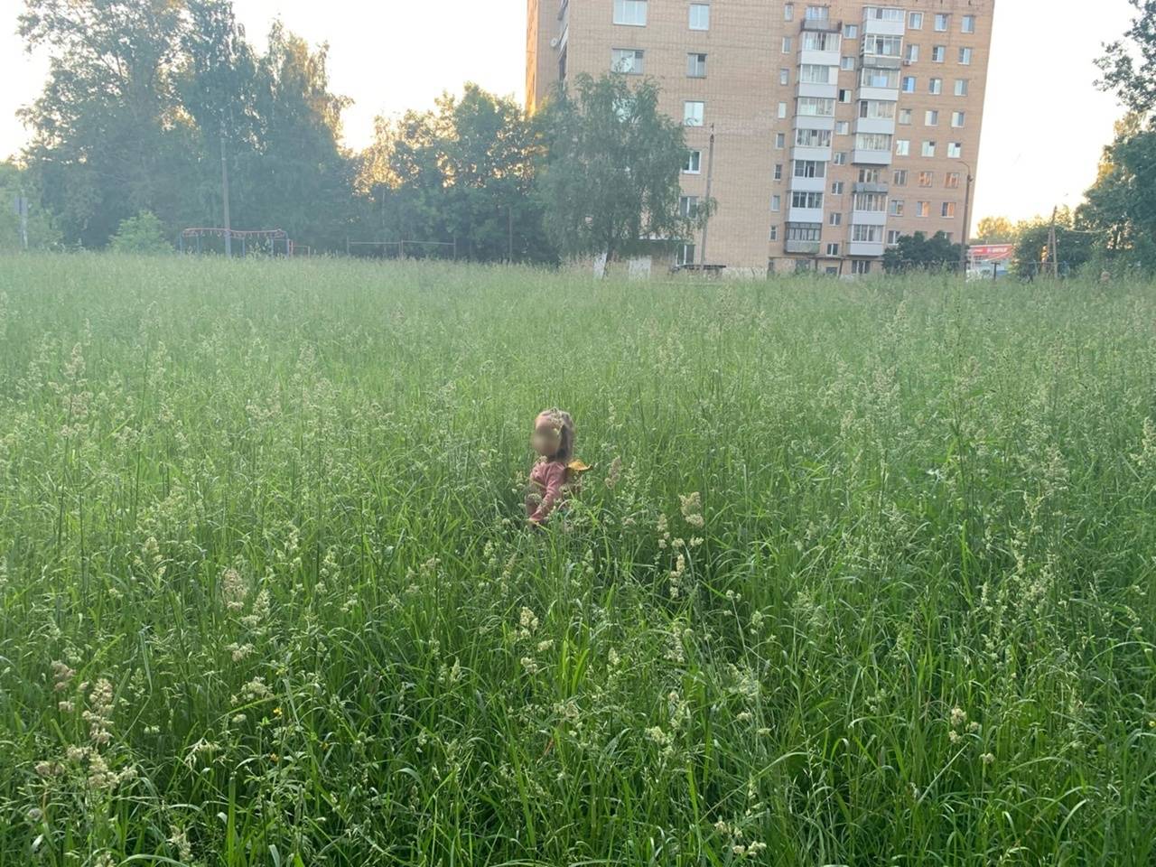 трава, улица Попова, девочка