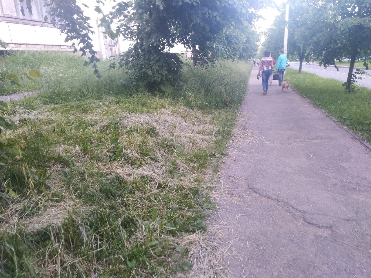 улица Рыленкова, трава, сено, коммунальщики