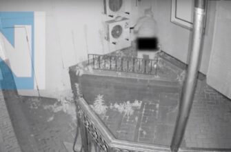 бабушка у Юноны