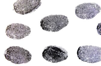 отпечатки пальцев
