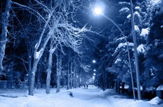 холод, ночь, мороз, снег