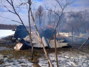 Козы, бараны, кролики и куры сгорели в страшном пожаре в Смоленской области