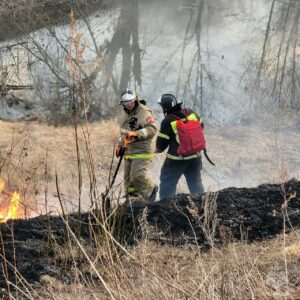 В Смоленской области установлен пожароопасный сезон