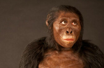 Австралопитек