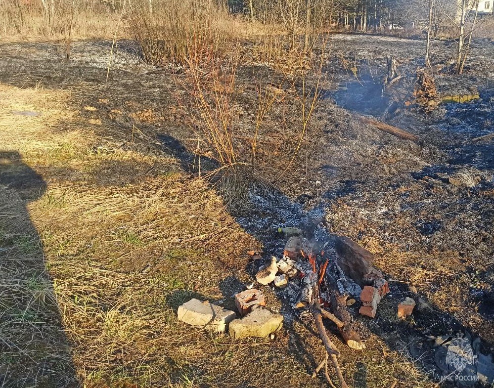 пожар, пал травы