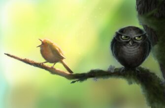 Совы и жаворонки