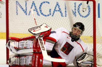 Доминик Гашек