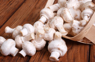 Шампиньоны