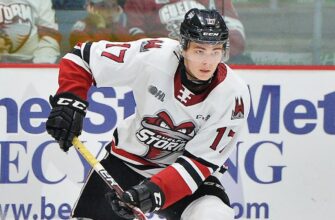 Хоккеист Гоголев