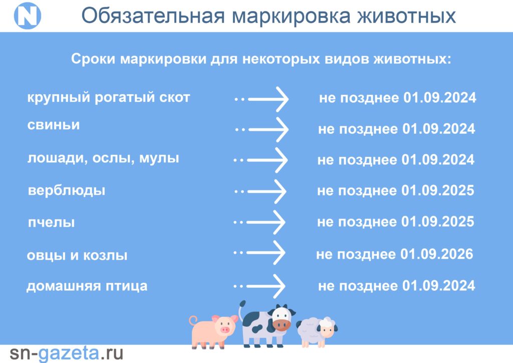 Смолянам предстоит ставить обязательную маркировку на сельхозживотных