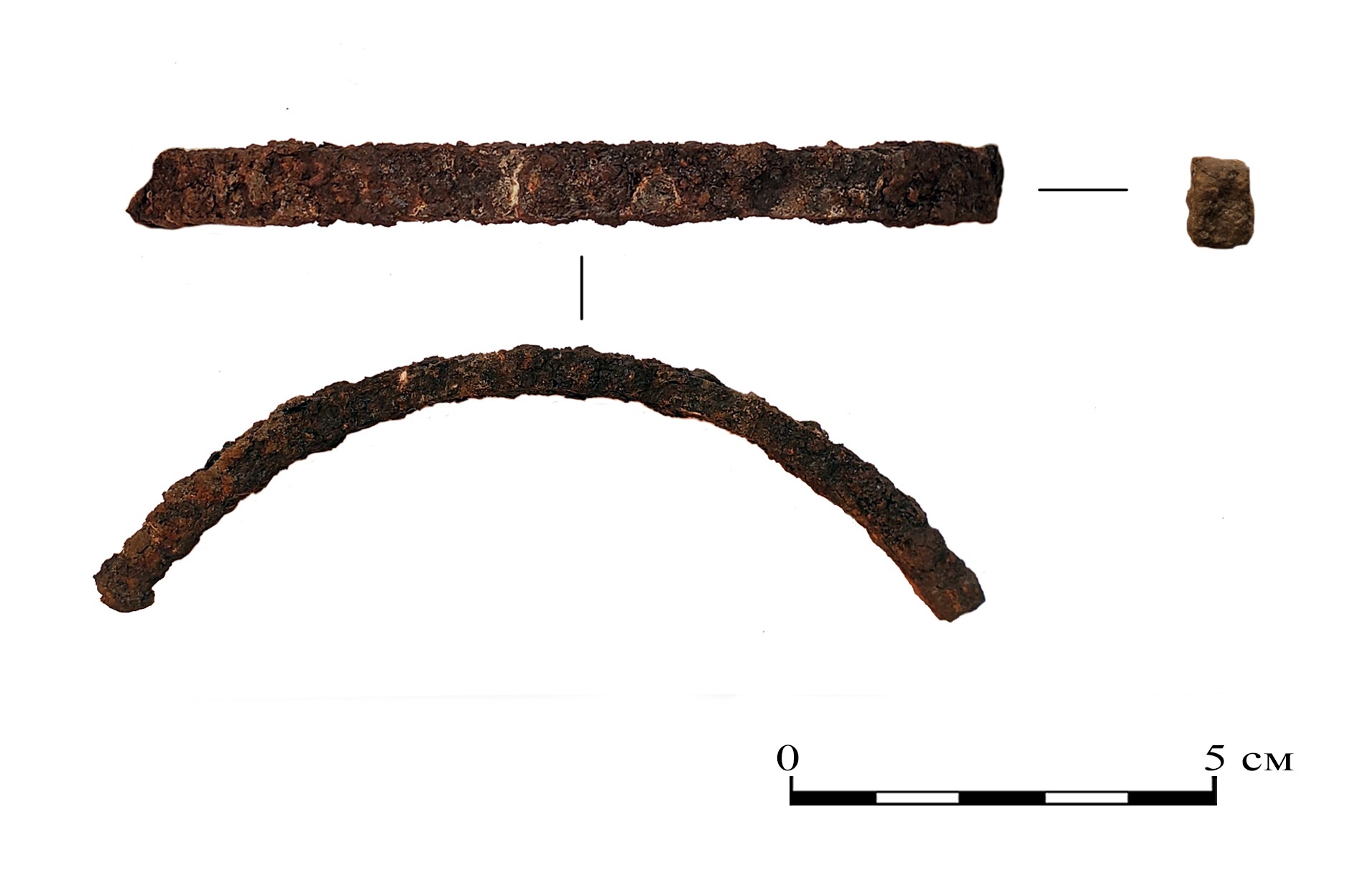 Археологи обнаружили на Смоленщине железные дуги неясного назначения