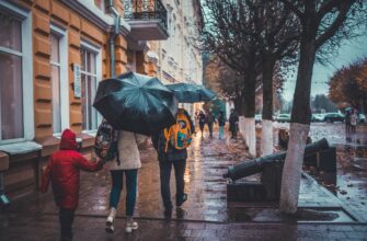 Смоленск, дождь, листья, улица Ленина, центр города, зонты
