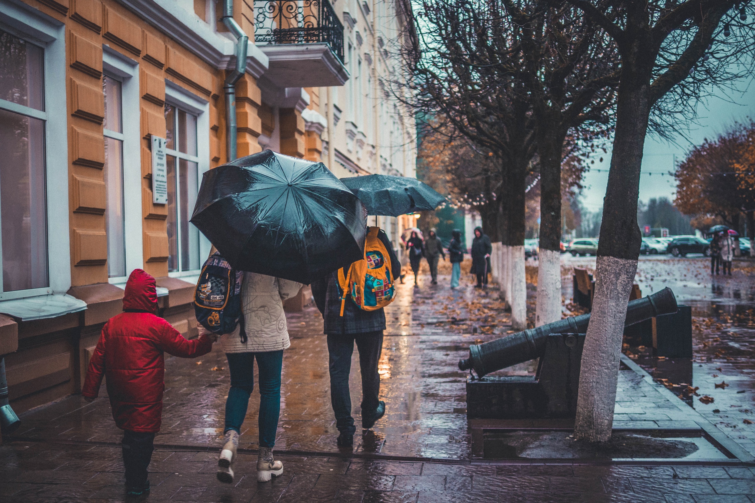 Смоленск, дождь, листья, улица Ленина, центр города, зонты