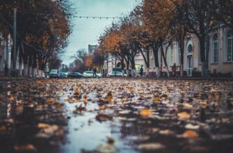 Смоленск, дождь, листья, улица Ленина