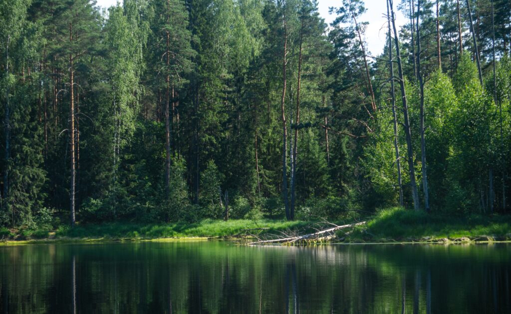 озеро вода поозерье