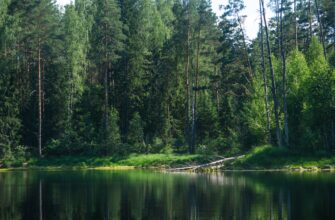 озеро вода поозерье