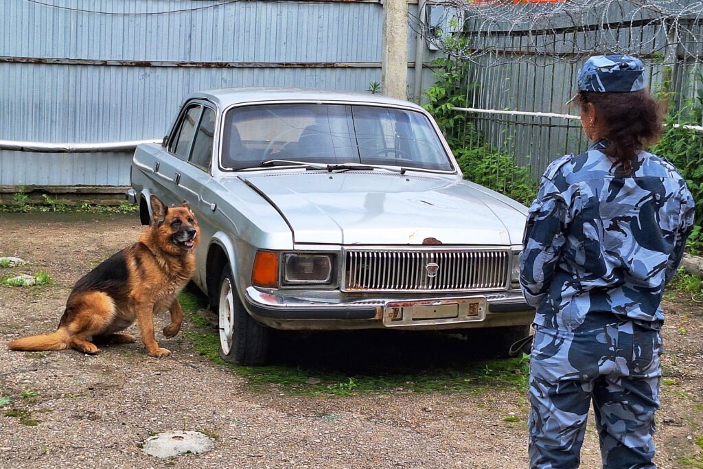 Четырехлапые сотрудники УФСИН организовали показательные выступления