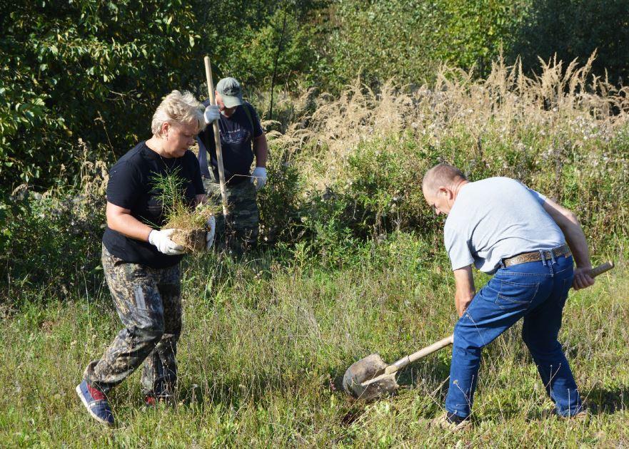 В Смоленской области стартовала всероссийская акция по восстановлению леса 