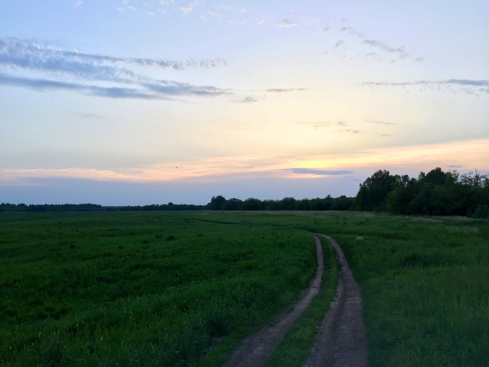 лето, закат, тепло