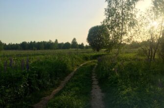 лето, закат, тепло, природа