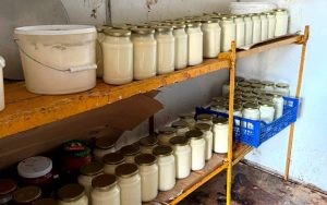 В Новодугинском районе на территории хозяйства были разбросаны кости