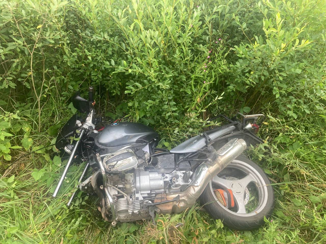 Полицейские задержали в Демидовском районе водителя, устроившего смертельное ДТП